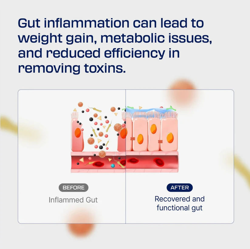 Vitas Body Protection Compound