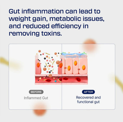 Vitas Body Protection Compound